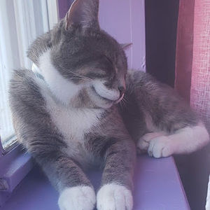 Meet your Posher, Nabiha